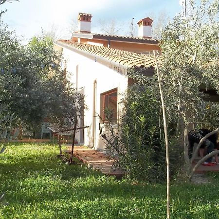 Villa Ambrosia Muggia Exterior photo