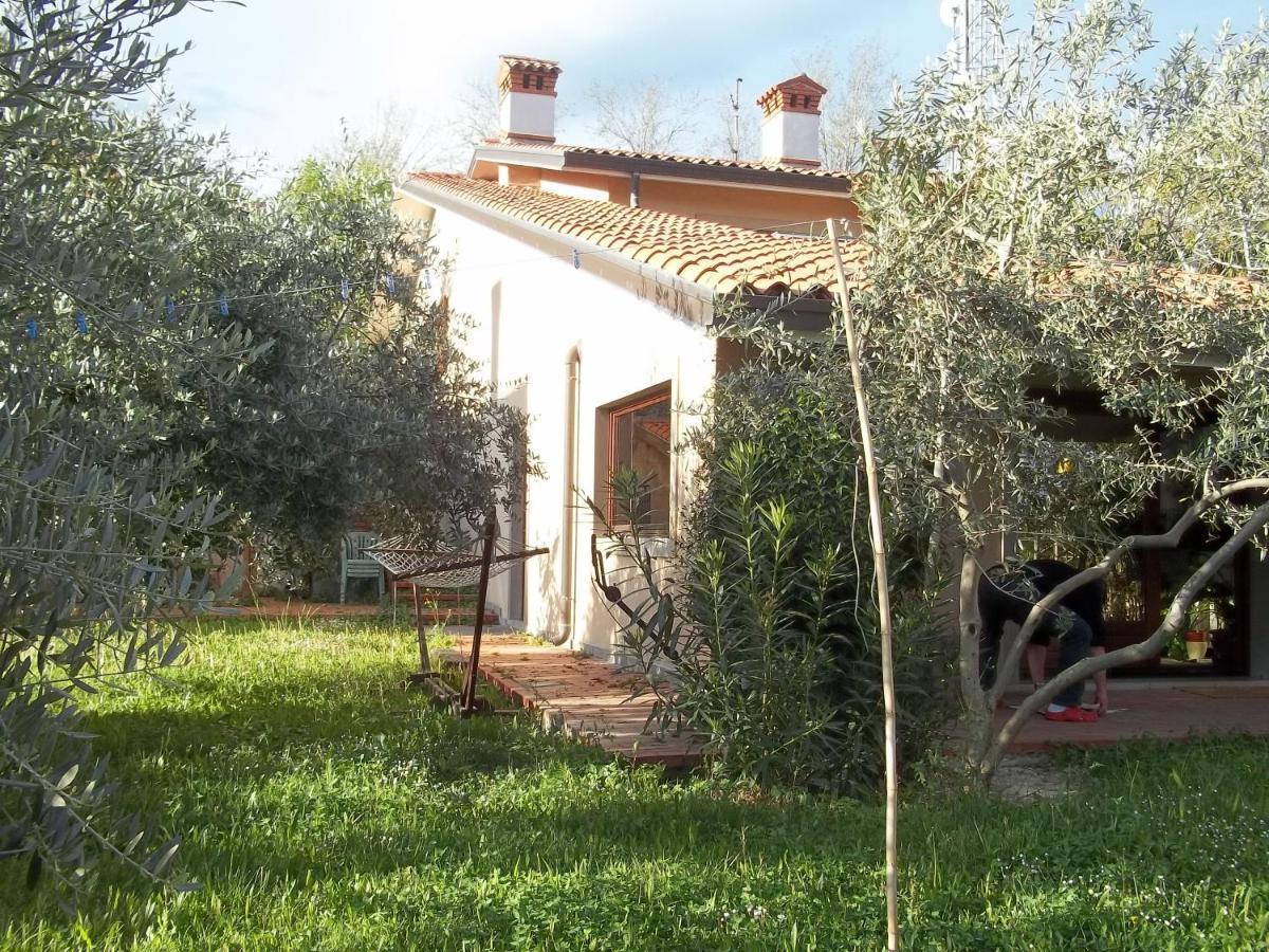 Villa Ambrosia Muggia Exterior photo